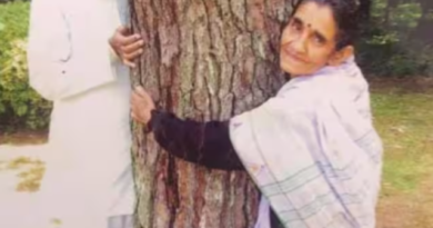 चिपको आंदोलन क्या है?